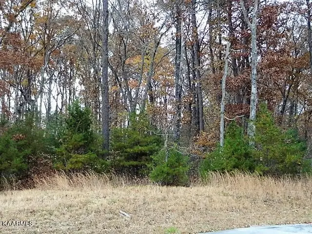 0 York Lane, Crossville, TN 38555 - Image #2