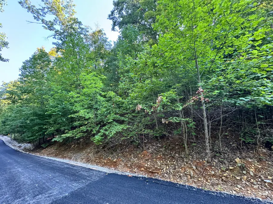 626 North Pointe Tr, Allons, TN 38541 - Image #2