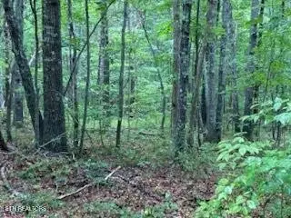 #3