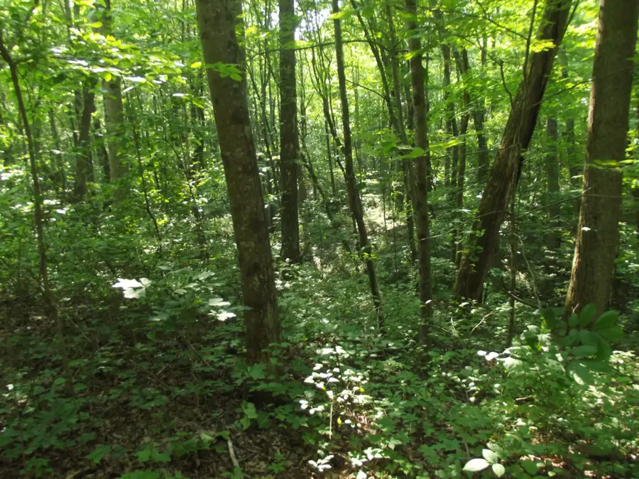 #3