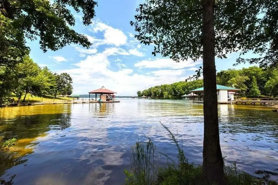 438 Lake Harbor Drive, Spring City, TN 37381 - Image #1