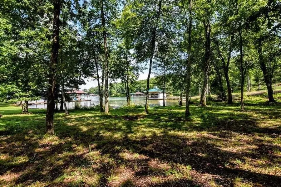 438 Lake Harbor Drive, Spring City, TN 37381 - Image #2