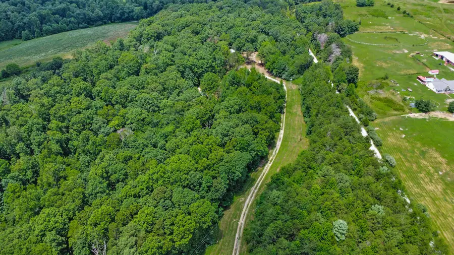 3673 Summer City Road, Pikeville, TN 37367 - Image #3