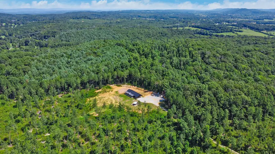 670 Secret Hollow Lane, Ten Mile, TN 37880 - Image #3