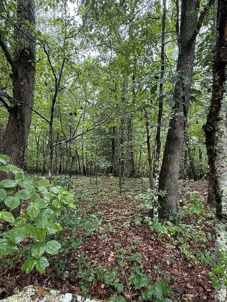 3038 Oklahoma Dr, Crossville, TN 38572 - Image #2