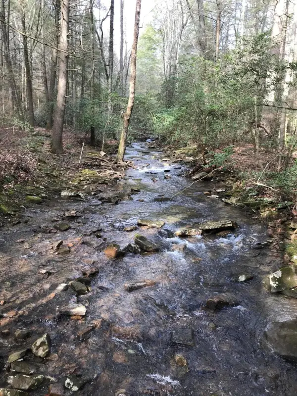 1 Hobbstown Road, Dunlap, TN 37327