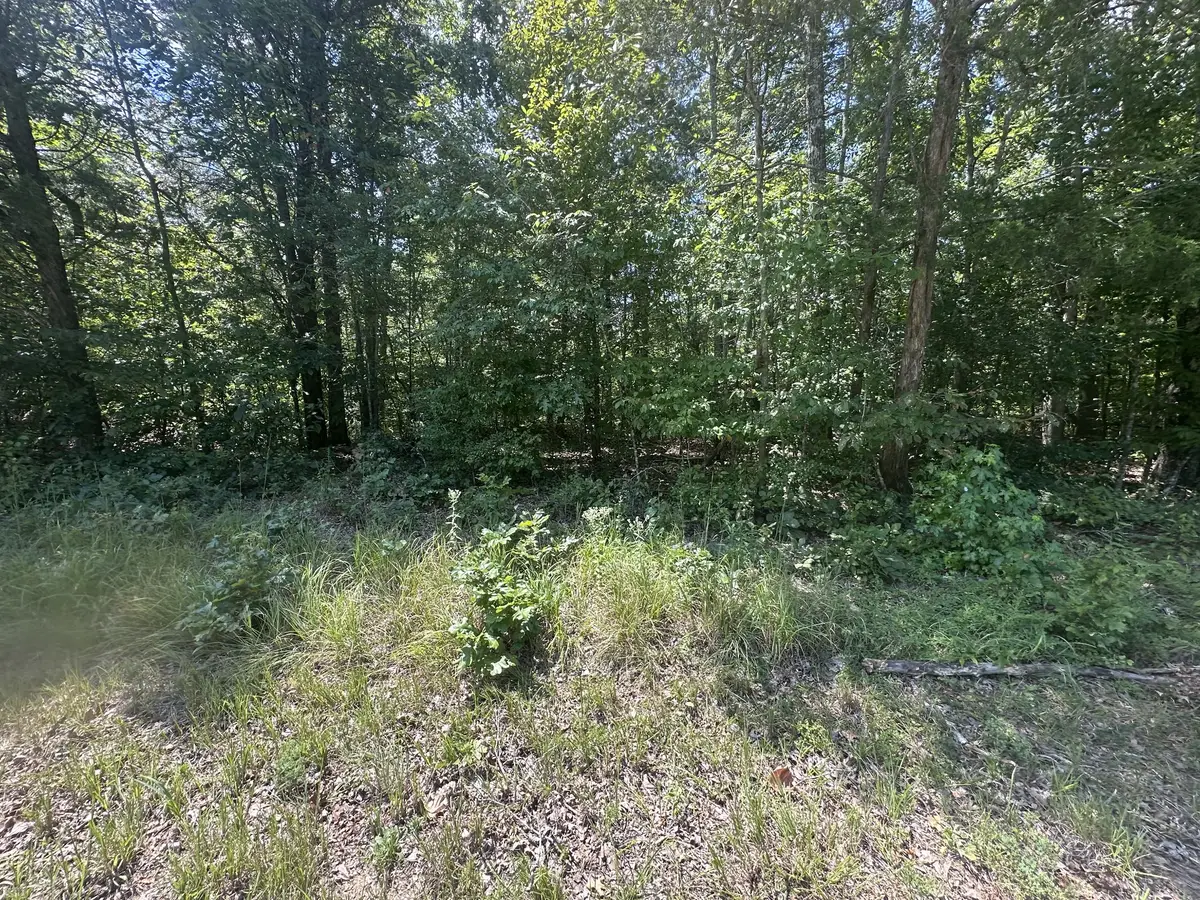 0 Brodies Landing Rd, Parsons, TN 38363 - Image #1