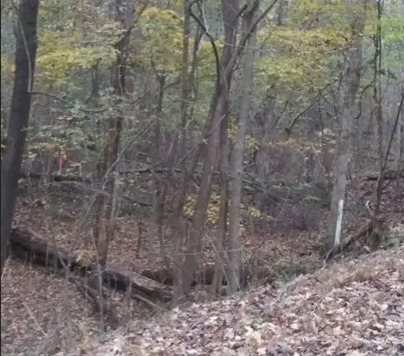 #3