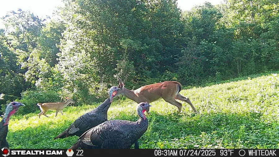 #3
