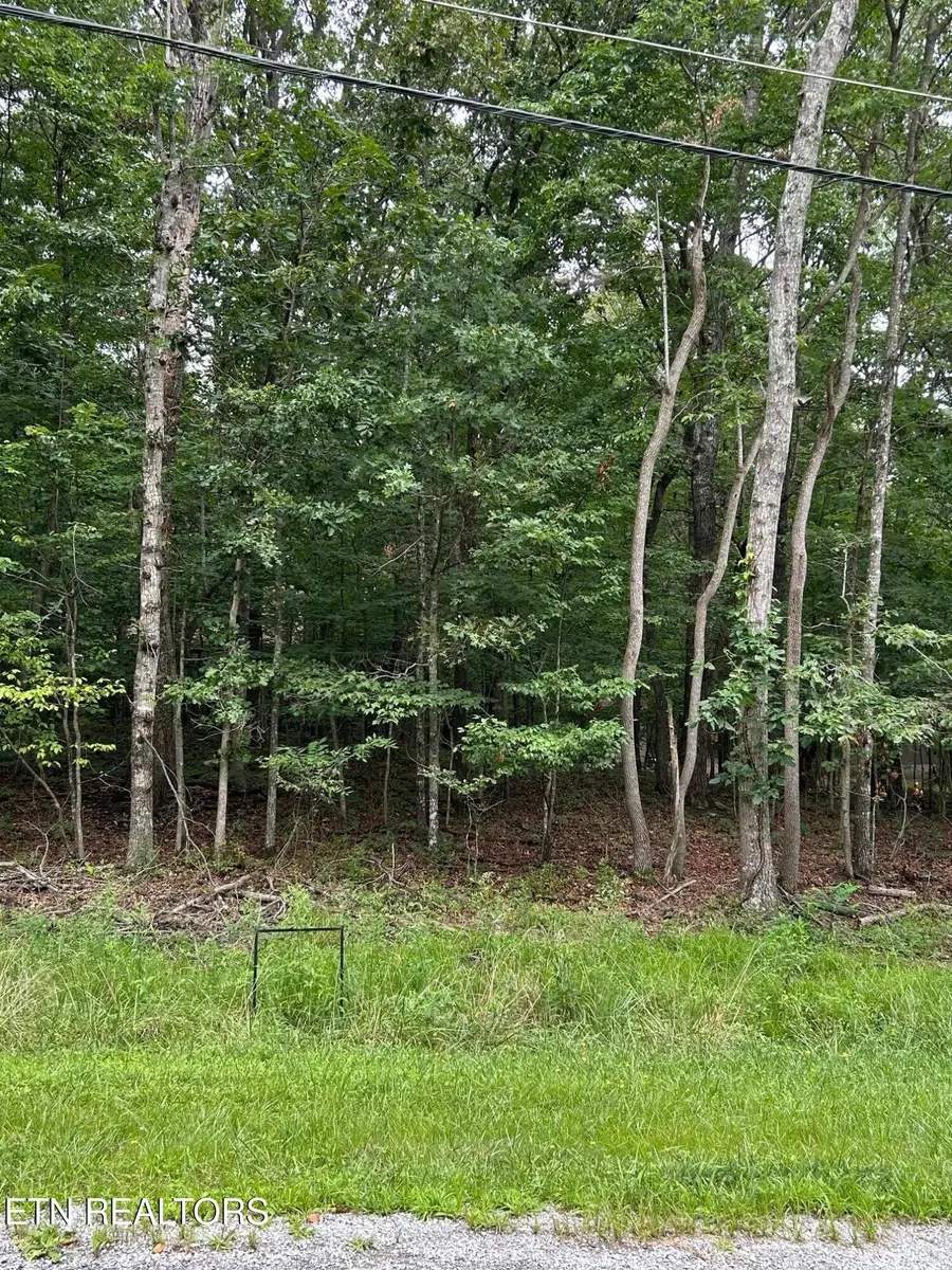 116 Jana Drive, Crossville, TN 38558 - Image #3