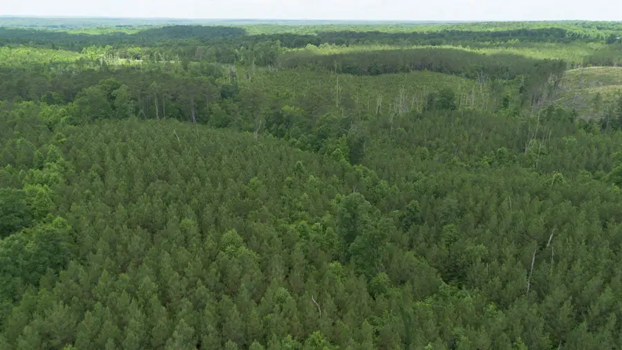 0 Old State Hwy 69, Sugar Tree, TN 38380 - Image #2