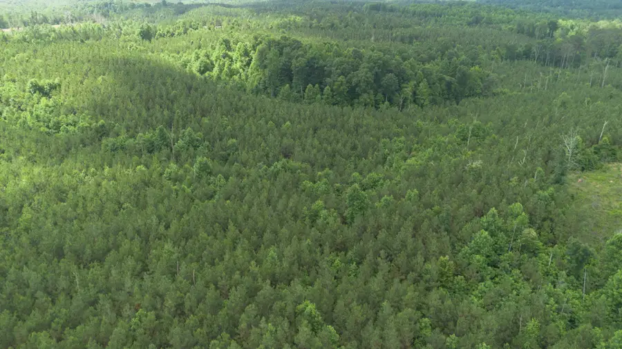 0 Old State Hwy 69, Sugar Tree, TN 38380 - Image #3