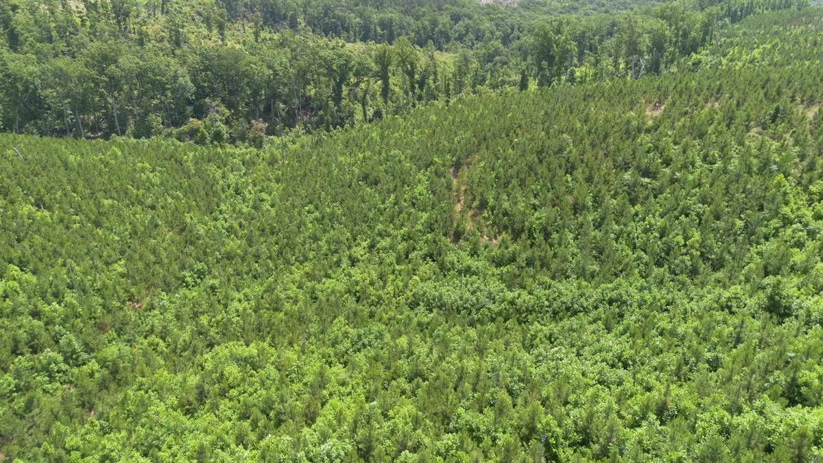 0 Low Gap Road, Sugar Tree, TN 38380 - Image #1