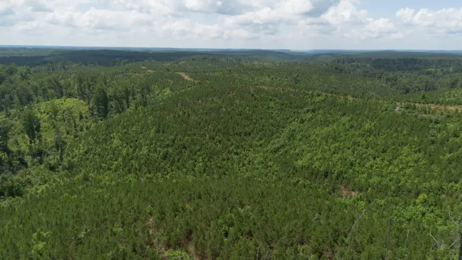 0 Low Gap Road, Sugar Tree, TN 38380 - Image #3