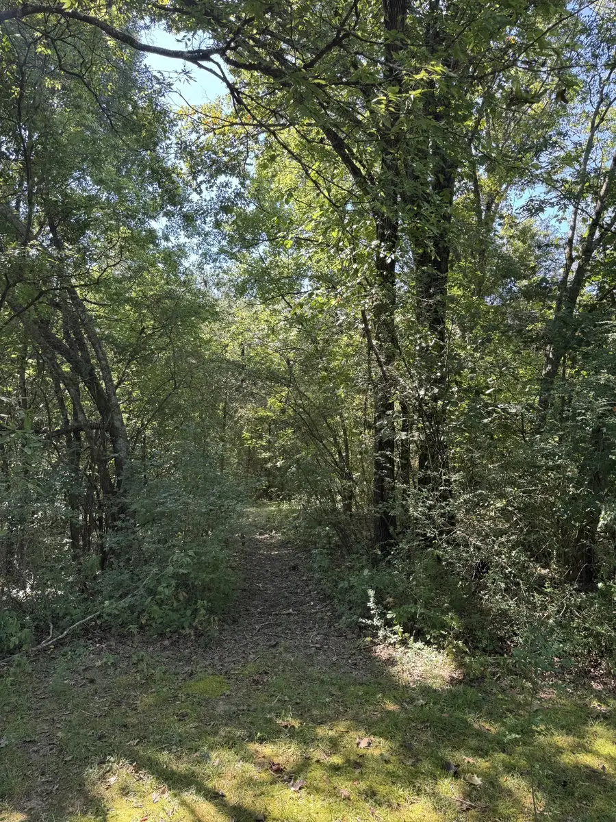 250 Breeze Inn Rd, Castalian Springs, TN 37031 - Image #3