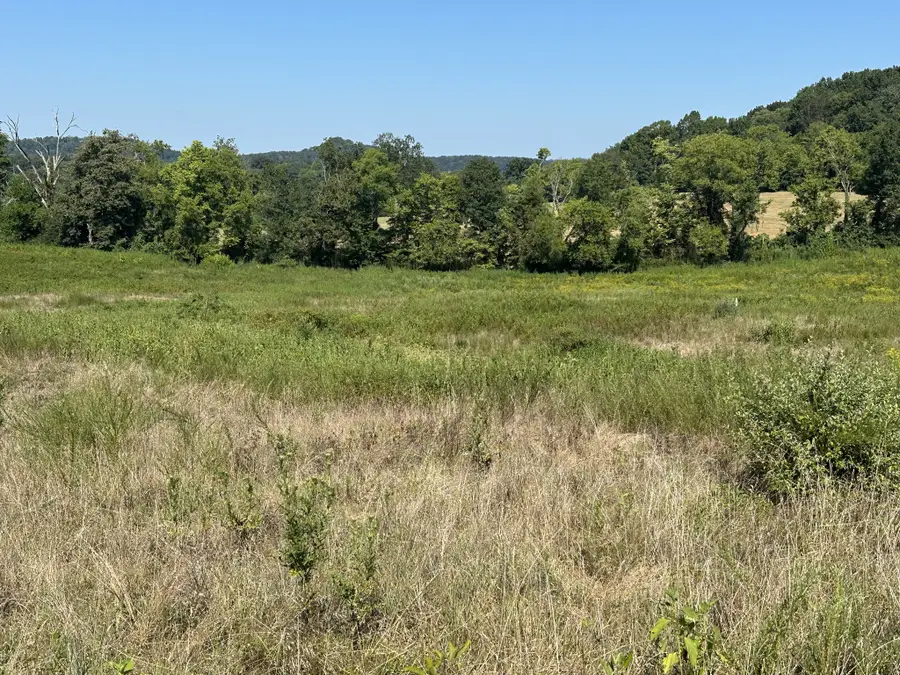 0 Mcclures Bend Ln, Carthage, TN 37030 - Image #3