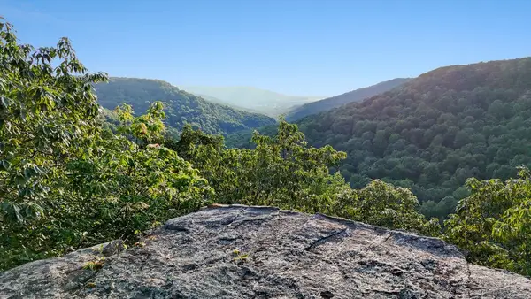 354 Little Trees Ramble, Monteagle, TN 37356