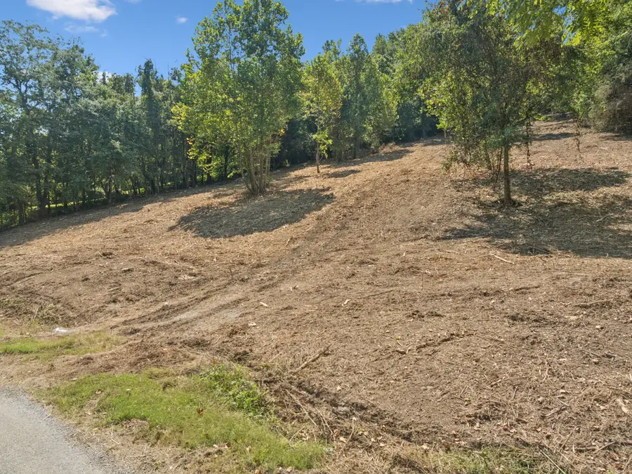 115 Agee Branch Ln, Hickman, TN 38567 - Image #2