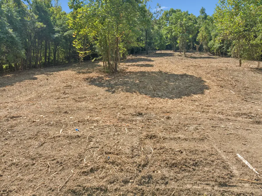 115 Agee Branch Ln, Hickman, TN 38567 - Image #3