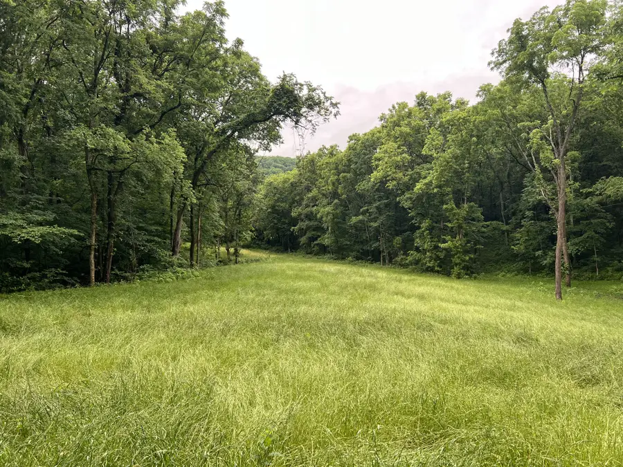 0 Preacher Holt Rd, Mount Pleasant, TN 38474 - Image #3