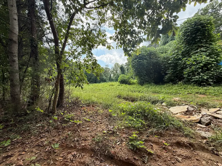 0 Lakeview Ave, Somerset, KY 42501 - #3