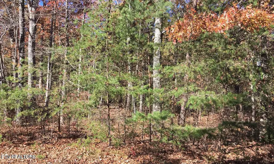 129 Monticello Lane, Crossville, TN 38558 - Image #2