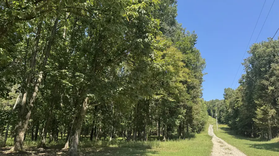 2958 Spanntown Rd, Arrington, TN 37014 - Image #3