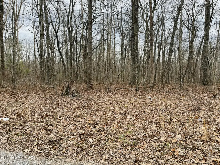 59 Morgan Circle, Crossville, TN 38572 - Image #3