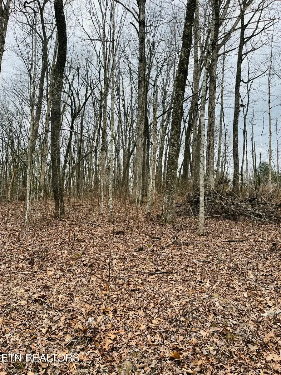 19 Burchett Drive, Crossville, TN 38572 - Image #3