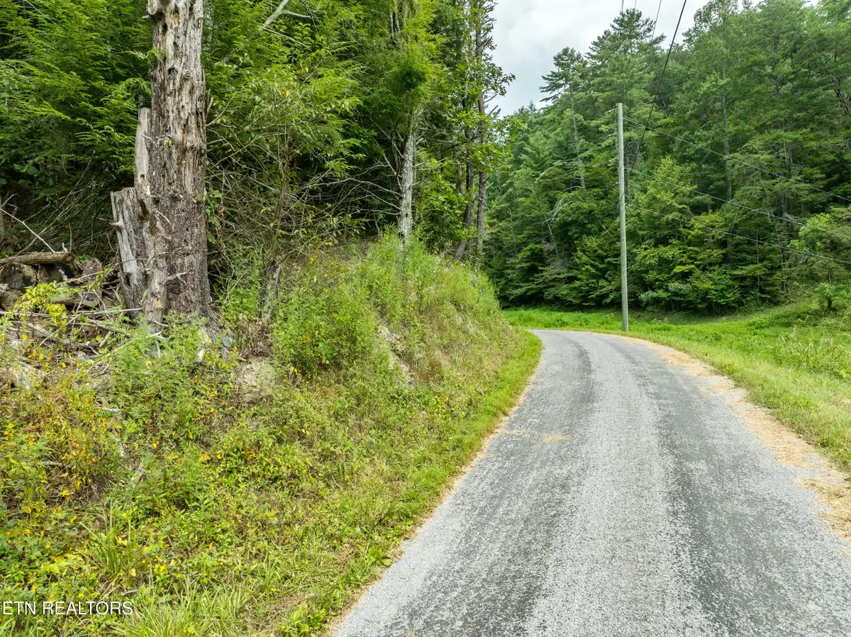 288 Oosterneck Rd, Tellico Plains, TN 37385 - Image #1