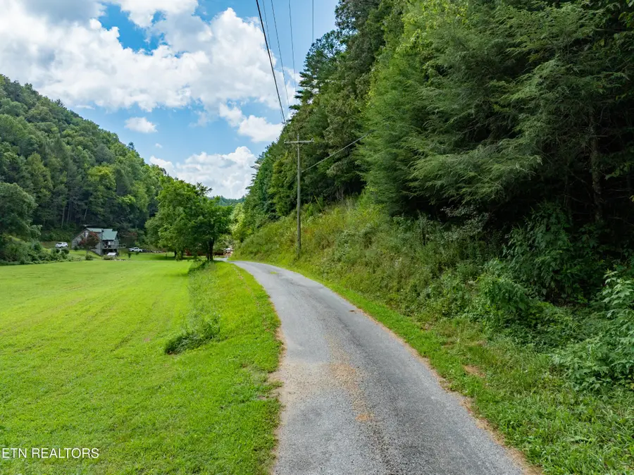 288 Oosterneck Rd, Tellico Plains, TN 37385 - Image #2