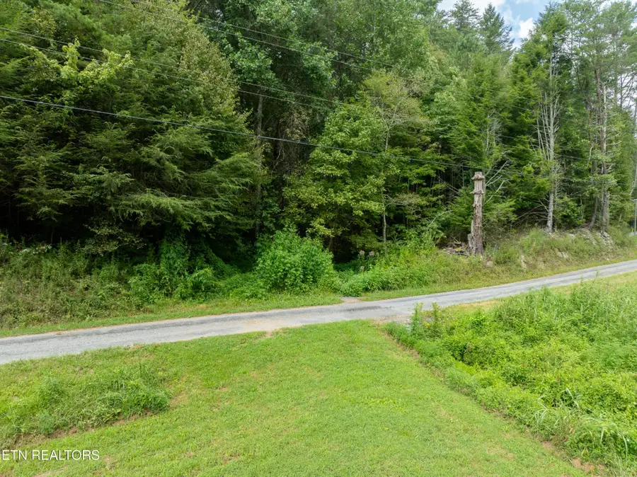 288 Oosterneck Rd, Tellico Plains, TN 37385 - Image #3