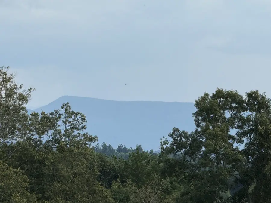 705 County Road 446, Athens, TN 37303 - #2