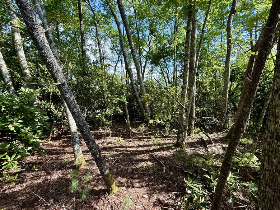 1 Bankers Bend, Mountain City, TN 37683 - Image #3