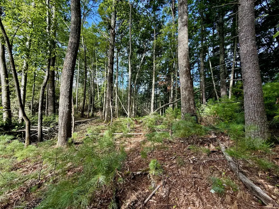 0 Bankers Bend, Mountain City, TN 37683 - Image #3