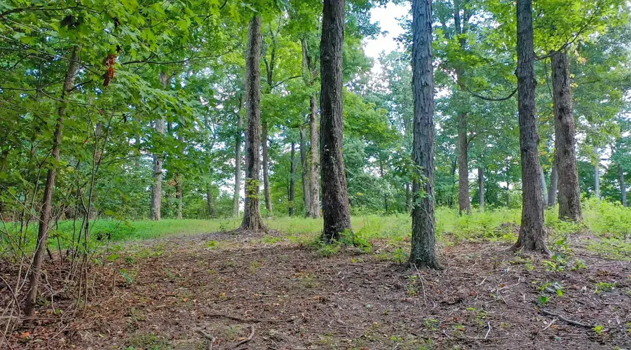 7659 Burks Rd, Christiana, TN 37037 - Image #2