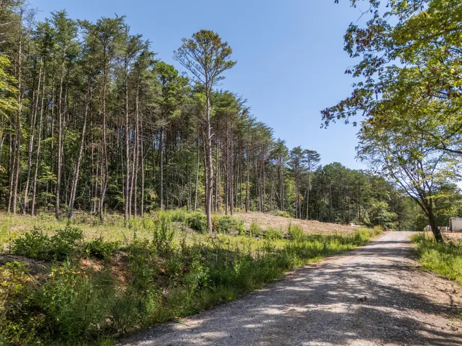 841 Griffith Road, Pikeville, TN 37367 - Image #3