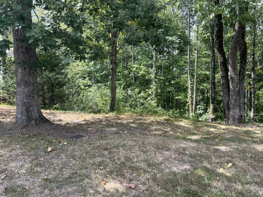 0 Shiloh Lane, Smithville, TN 37166 - Image #2