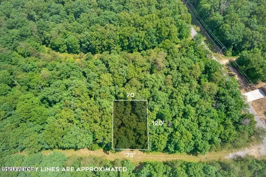 106 Brunswick Place, Crossville, TN 38558 - Image #3