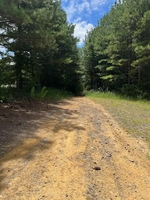 123 Retro Hughes Road, Graysville, TN 37338 - #3