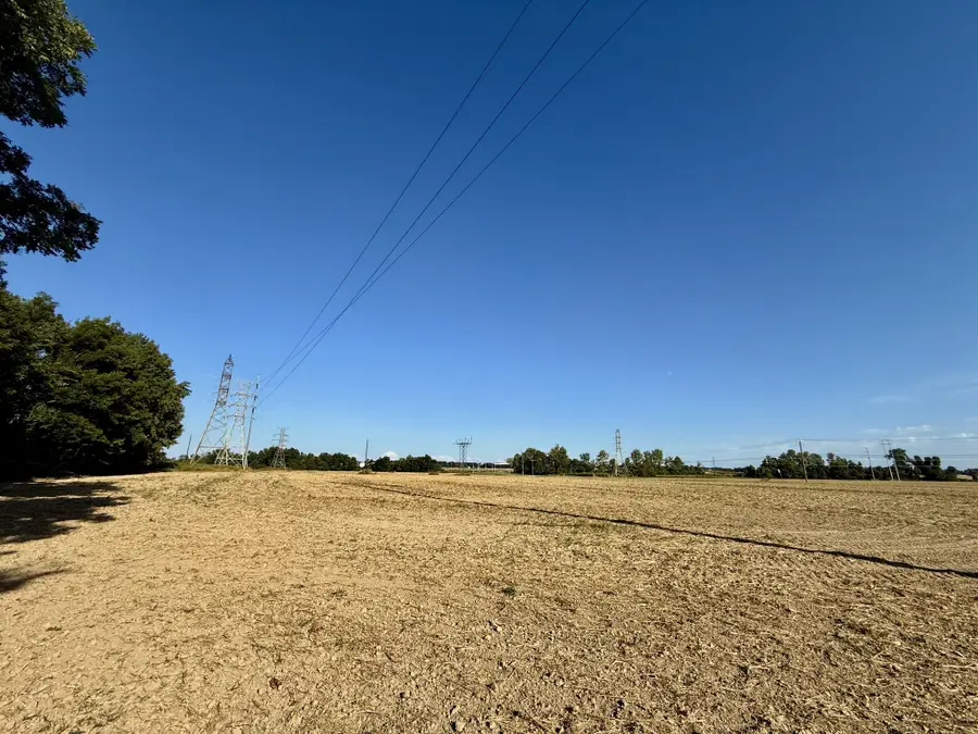 1469 S Main St, Covington, TN 38019 - Image #2