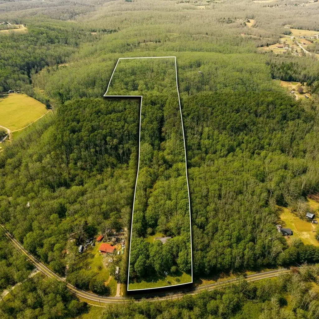 7822 Barnhill Rd, Primm Springs, TN 38476 - Image #1