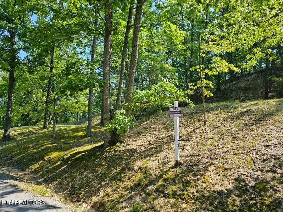 7 Village Circle, Sevierville, TN 37862 - Image #3