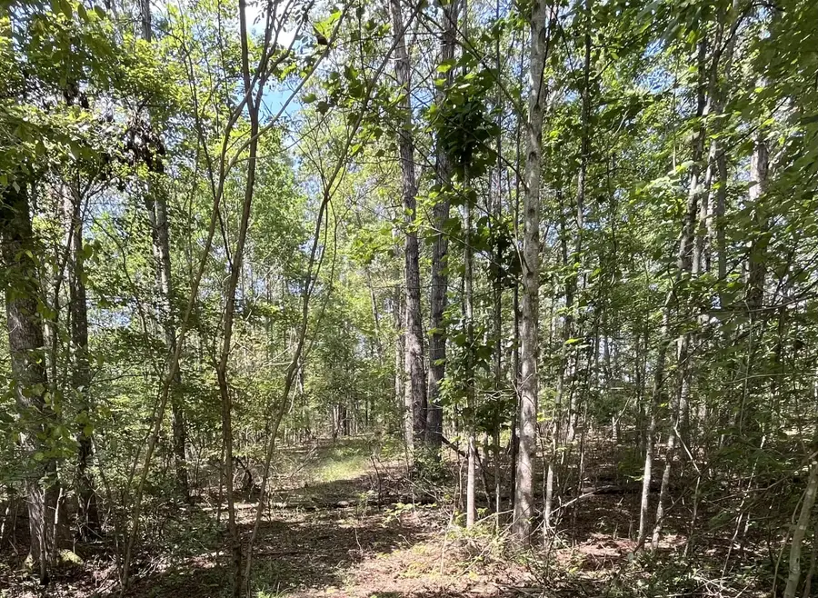 201 Blackberry Farm Rd W, Monteagle, TN 37356 - #3