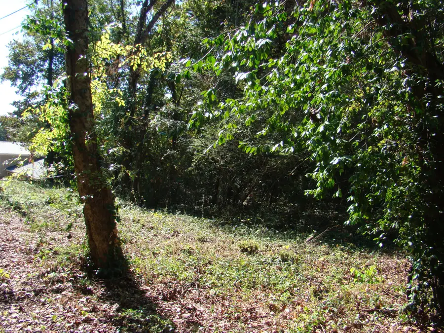 0 Eleanor Drive Sw, Cleveland, TN 37311 - Image #3