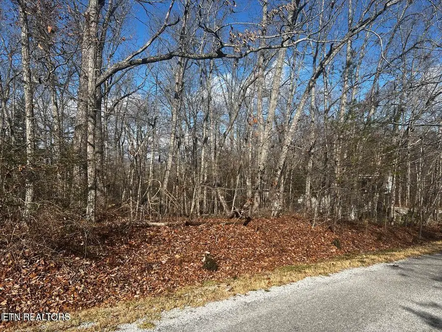 290 Kings Down Drive, Crossville, TN 38558 - Image #2