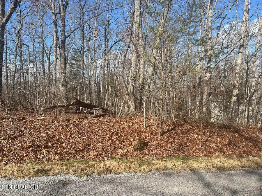 290 Kings Down Drive, Crossville, TN 38558 - Image #3