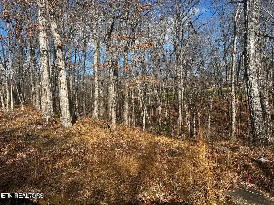 130 Baltusrol Rd, Crossville, TN 38558 - Image #2