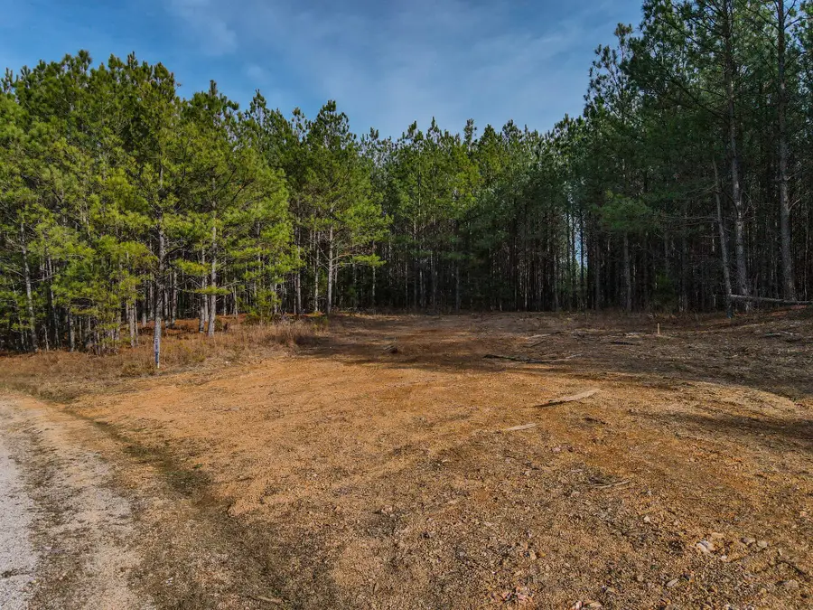 0 Brush Creek Rd, Hohenwald, TN 38462 - Image #2