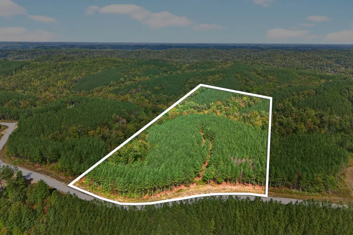 210 Ridgewood Dr, Linden, TN 37096 - Image #1